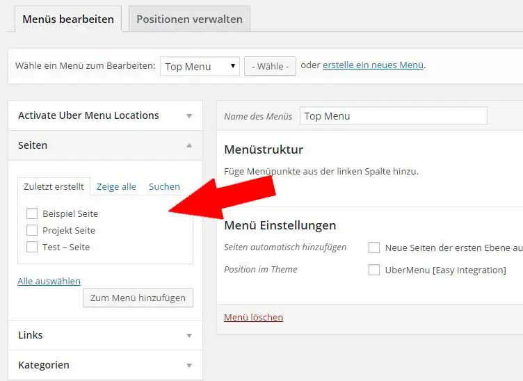 WordPress Menü erstellen 10 Seiten zum WordPress-Menü hinzufügen