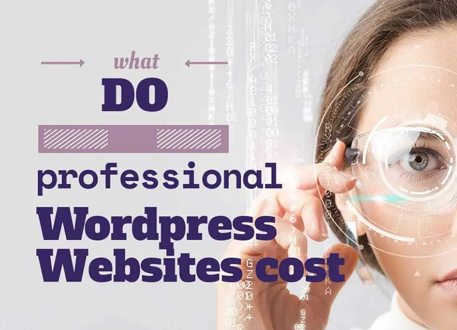Was kosten professionelle WordPress Webseiten?