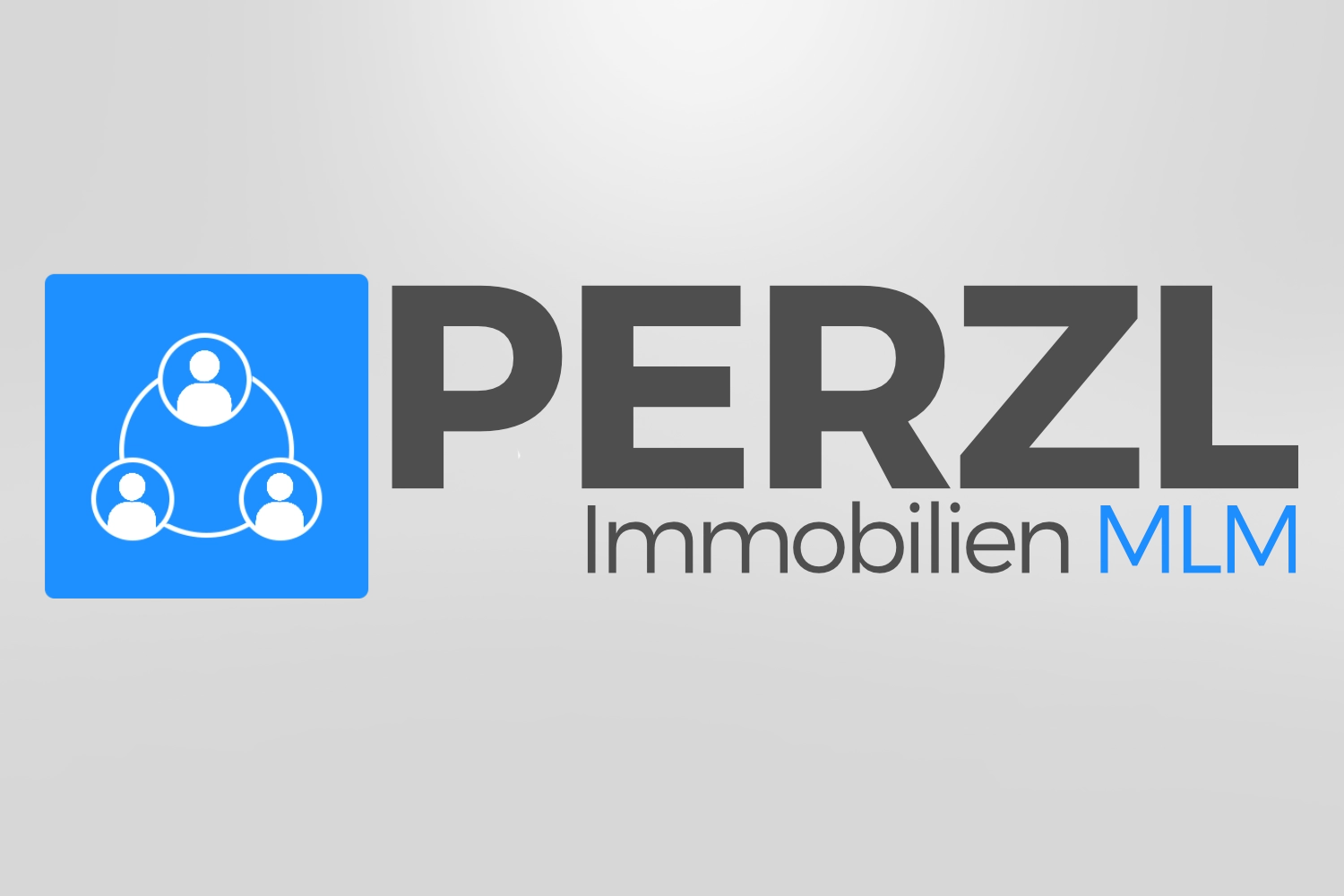 Logo Erstellung Perzl Immobilien