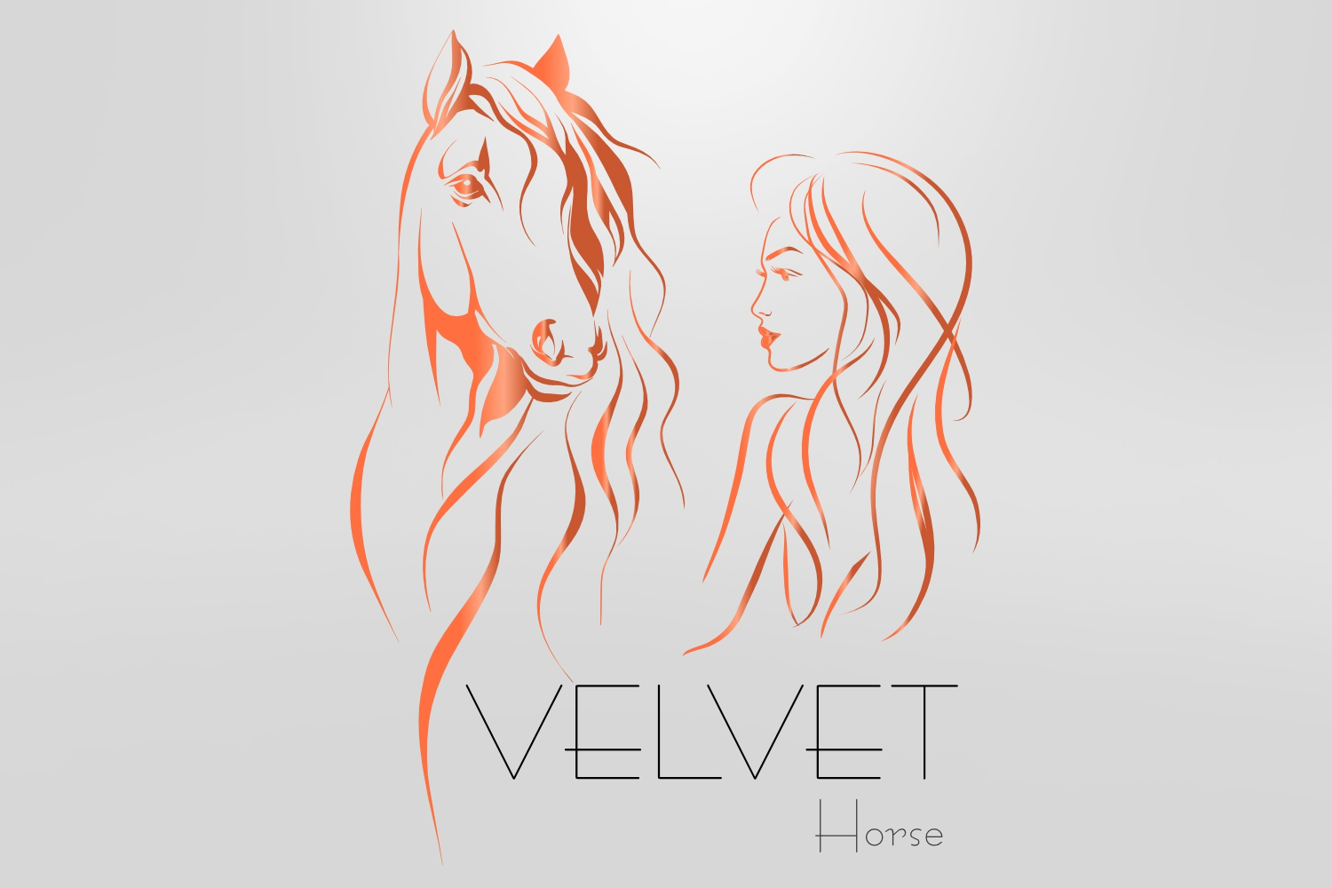 Logo Erstellung Velvet Horse